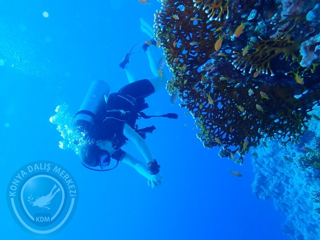 13-18 Mayıs Sharm