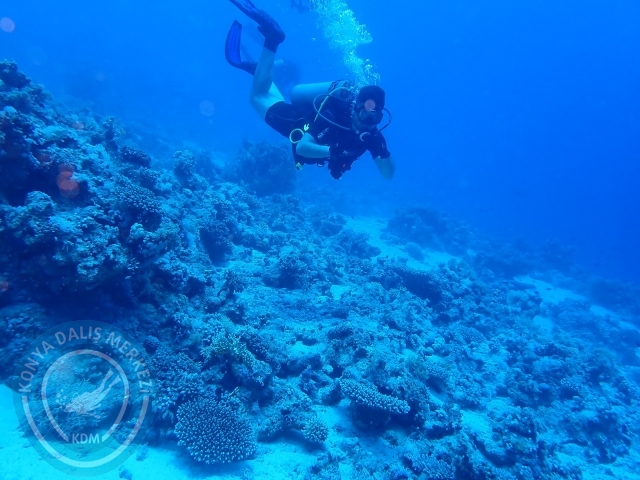13-18 Mayıs Sharm