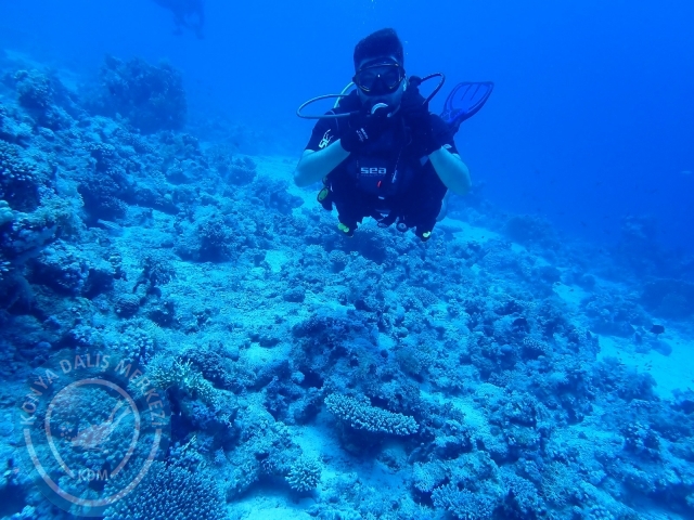 13-18 Mayıs Sharm