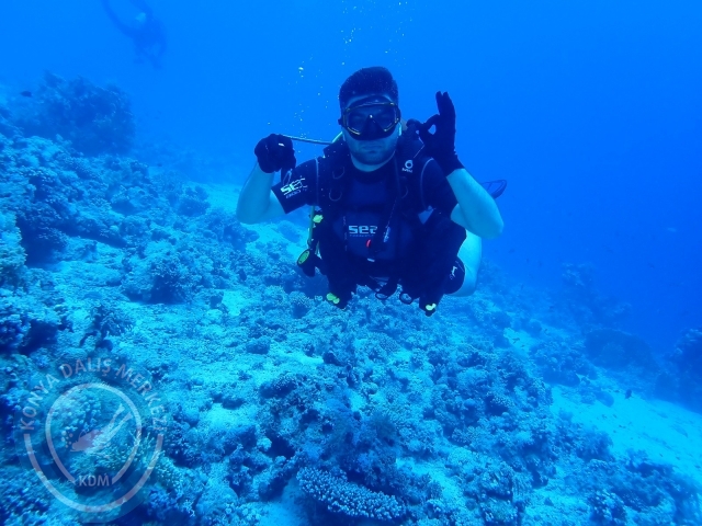 13-18 Mayıs Sharm