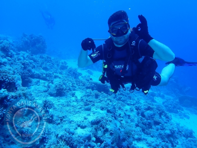 13-18 Mayıs Sharm