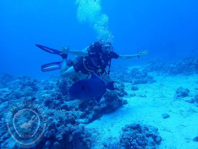 13-18 Mayıs Sharm