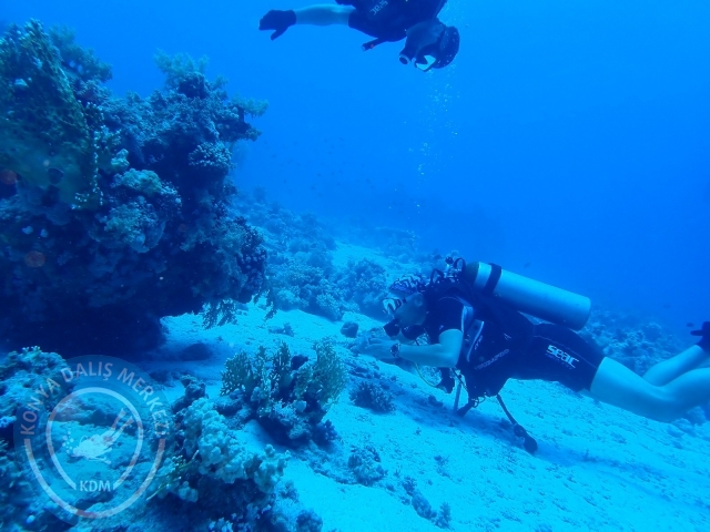 13-18 Mayıs Sharm