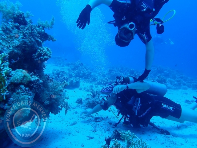13-18 Mayıs Sharm