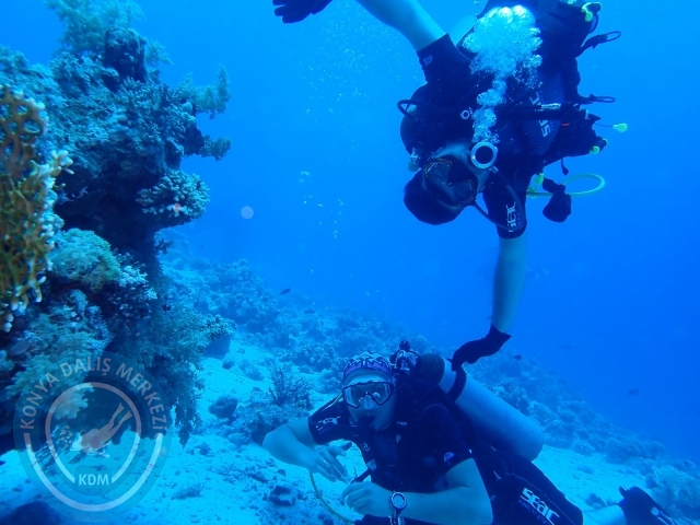 13-18 Mayıs Sharm