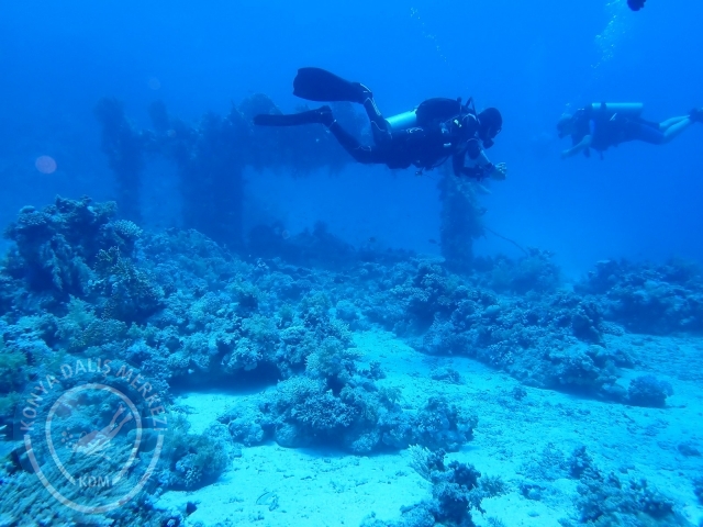 13-18 Mayıs Sharm
