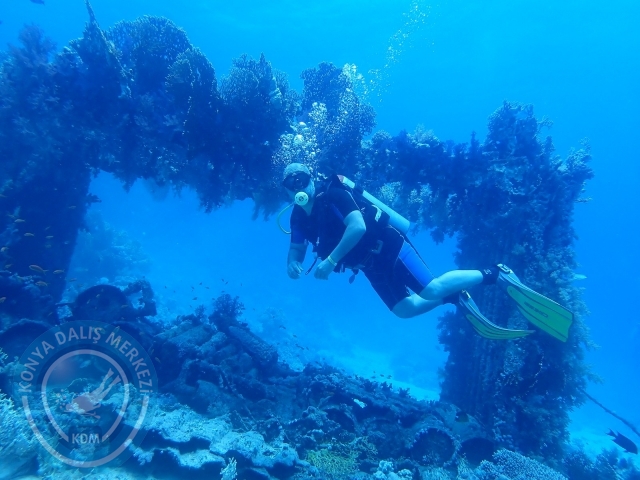 13-18 Mayıs Sharm
