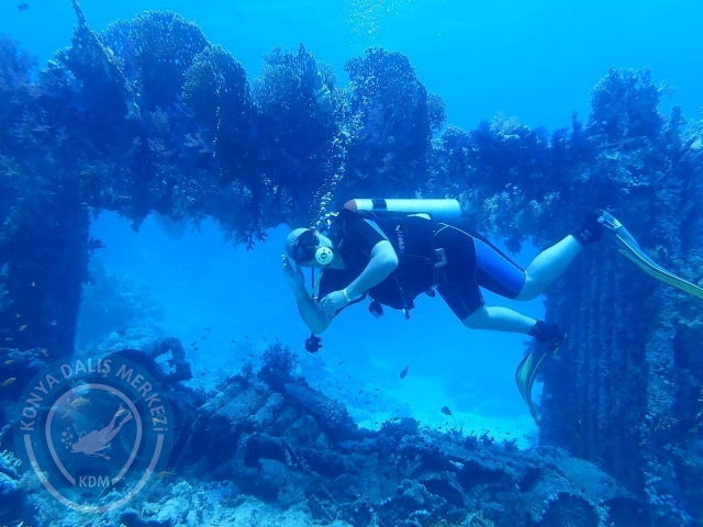 13-18 Mayıs Sharm