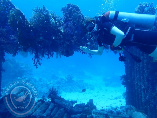 13-18 Mayıs Sharm