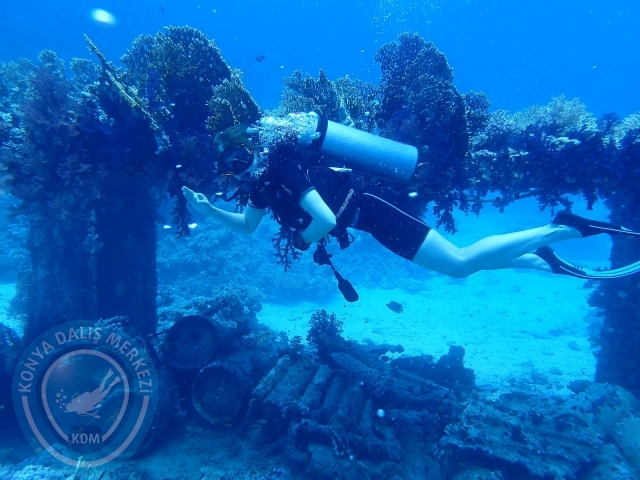 13-18 Mayıs Sharm