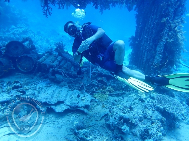 13-18 Mayıs Sharm