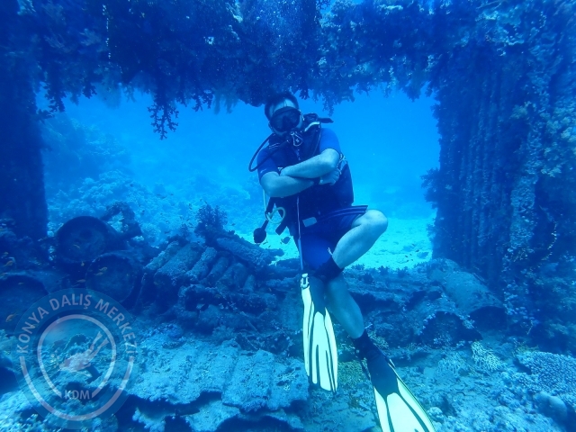 13-18 Mayıs Sharm