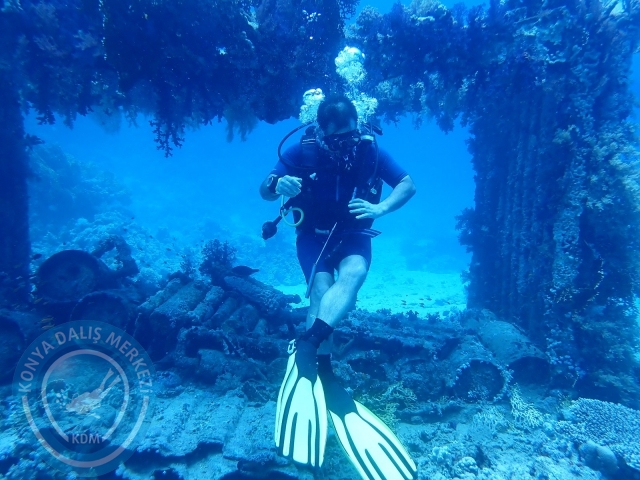 13-18 Mayıs Sharm