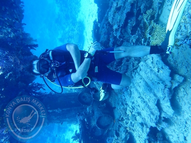 13-18 Mayıs Sharm