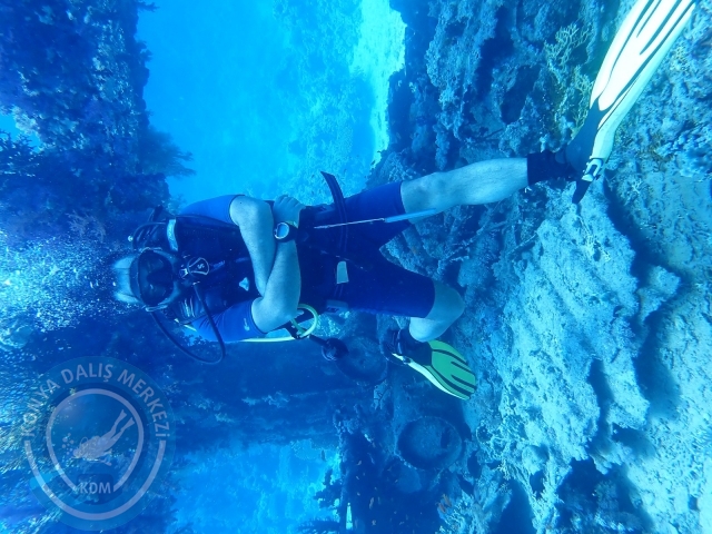 13-18 Mayıs Sharm