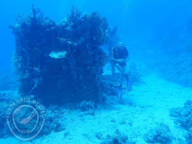 13-18 Mayıs Sharm