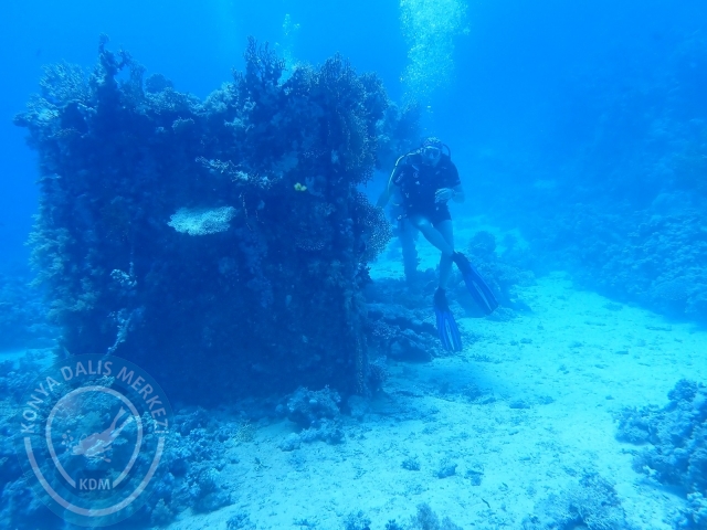 13-18 Mayıs Sharm
