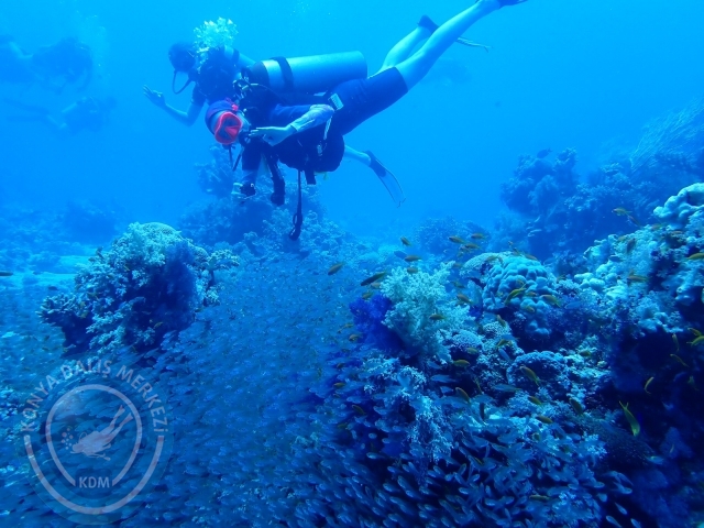 13-18 Mayıs Sharm