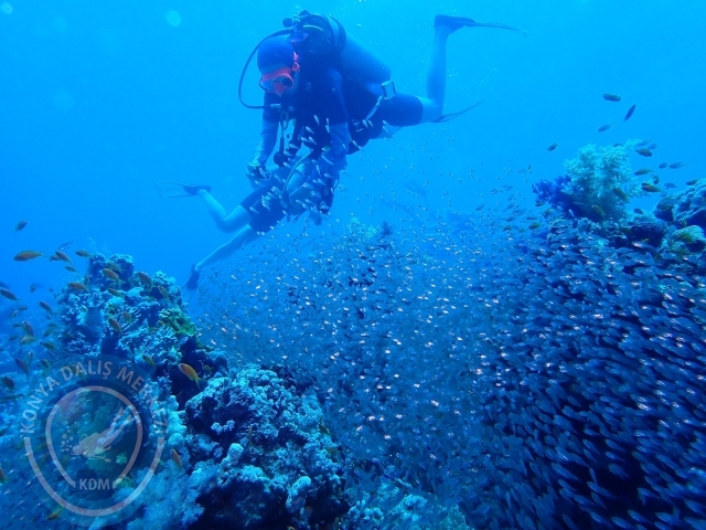 13-18 Mayıs Sharm