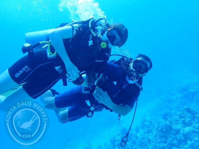 13-18 Mayıs Sharm