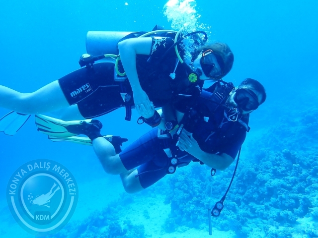 13-18 Mayıs Sharm