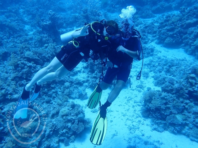 13-18 Mayıs Sharm