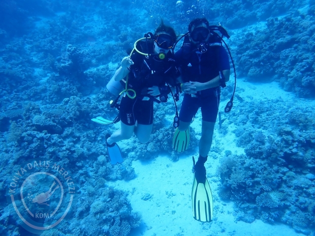 13-18 Mayıs Sharm