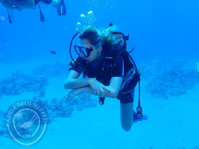 13-18 Mayıs Sharm