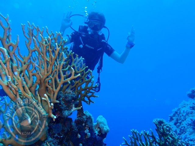 13-18 Mayıs Sharm