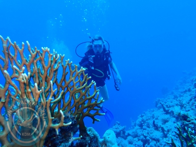 13-18 Mayıs Sharm