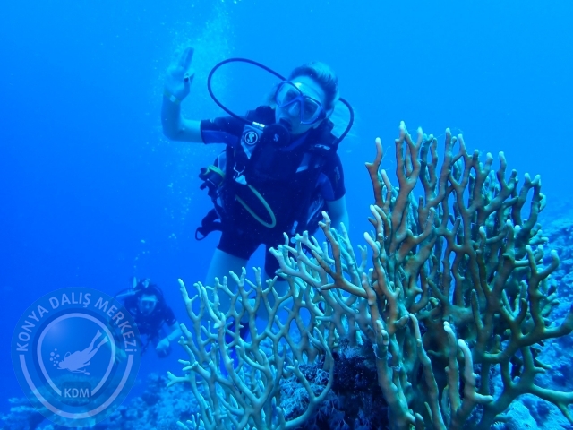 13-18 Mayıs Sharm