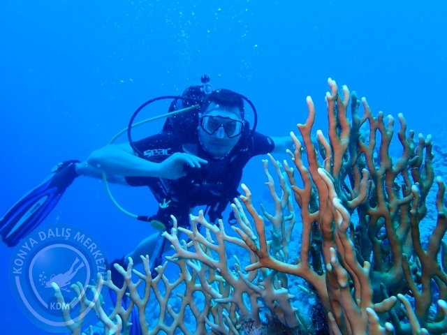 13-18 Mayıs Sharm
