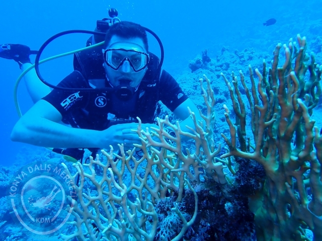 13-18 Mayıs Sharm