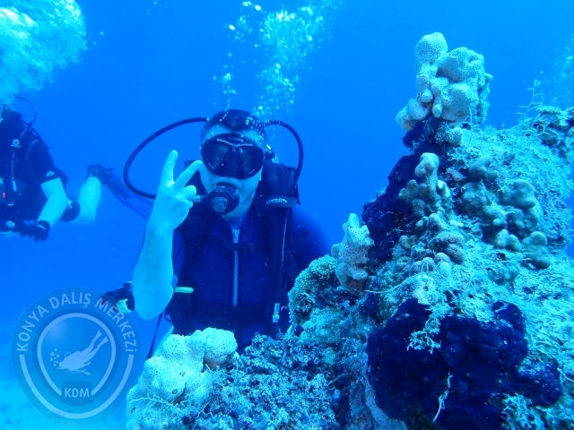13-18 Mayıs Sharm
