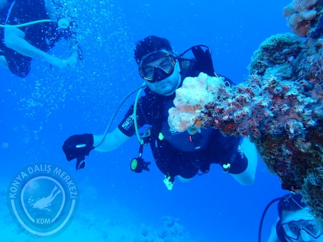13-18 Mayıs Sharm
