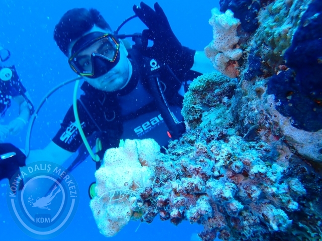 13-18 Mayıs Sharm