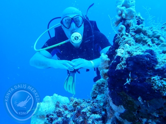 13-18 Mayıs Sharm