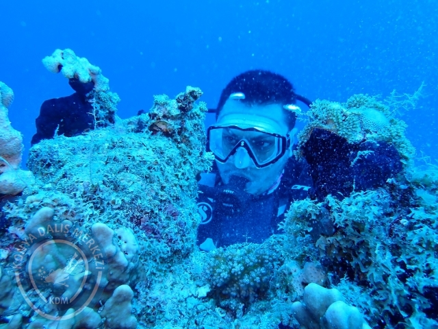 13-18 Mayıs Sharm
