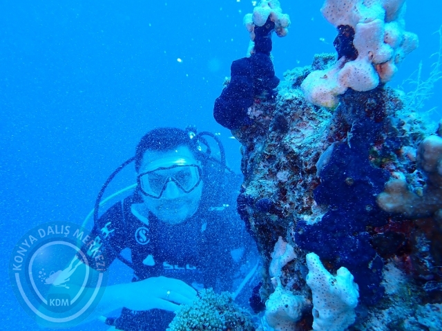 13-18 Mayıs Sharm