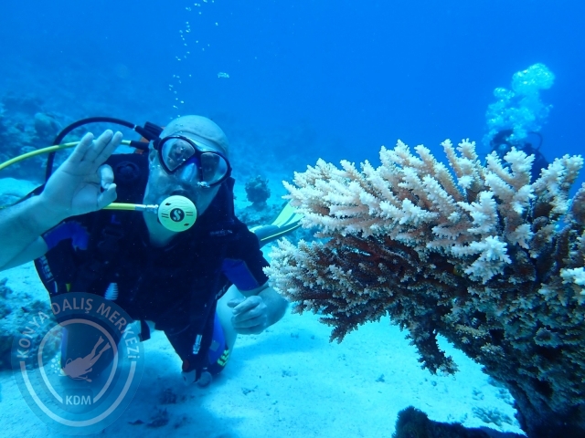 13-18 Mayıs Sharm