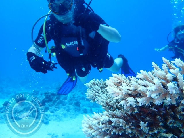 13-18 Mayıs Sharm
