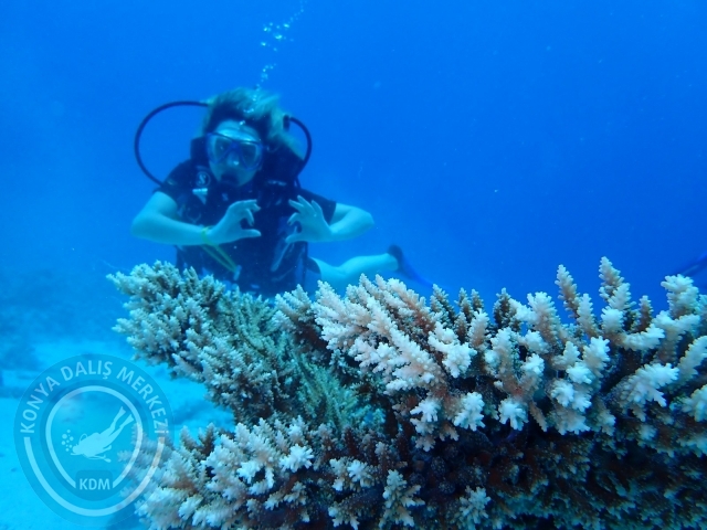 13-18 Mayıs Sharm
