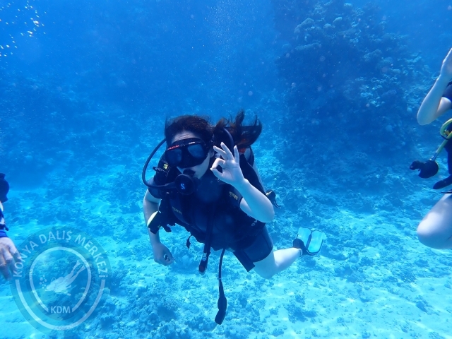 13-18 Mayıs Sharm