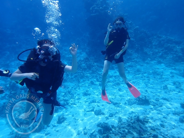 13-18 Mayıs Sharm
