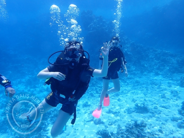 13-18 Mayıs Sharm