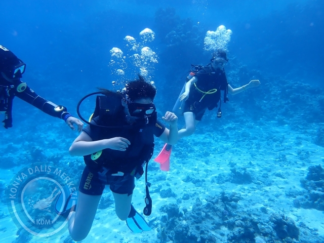13-18 Mayıs Sharm