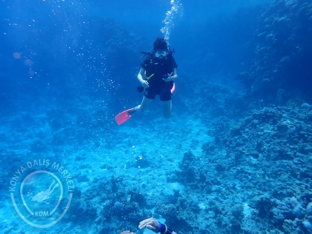13-18 Mayıs Sharm