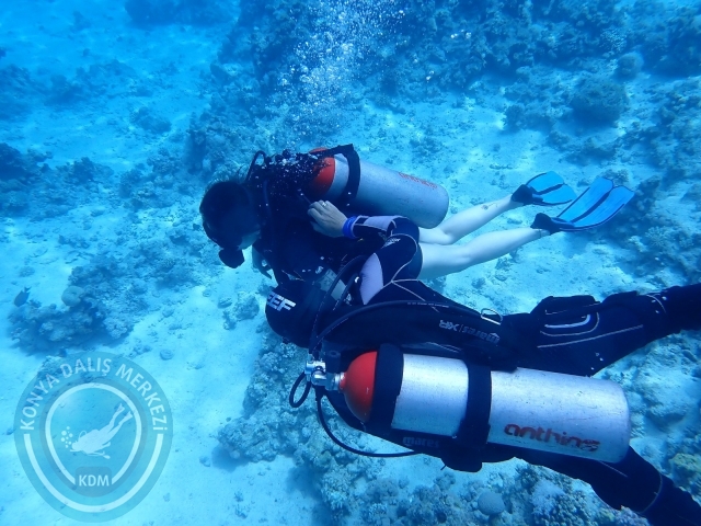 13-18 Mayıs Sharm