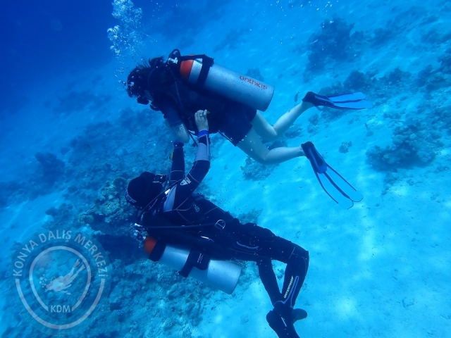 13-18 Mayıs Sharm