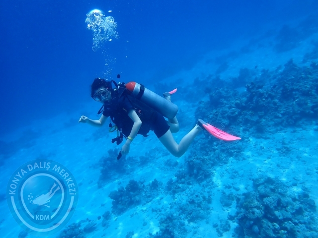 13-18 Mayıs Sharm